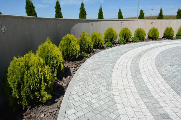 Reasons to Select Us for Your Driveway Paving Requirements in Tekamah, NE